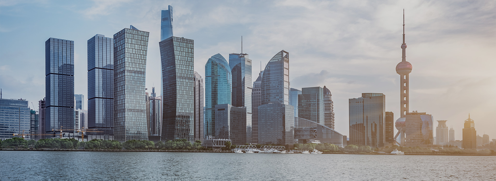 ��˾����