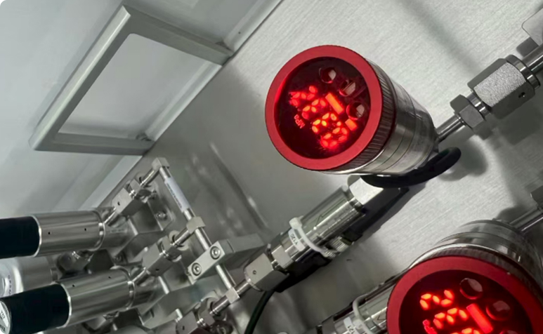 NS-PT11�ߴ�ѹ���������ڰ뵼���豸��GASBOX���е�Ӧ��