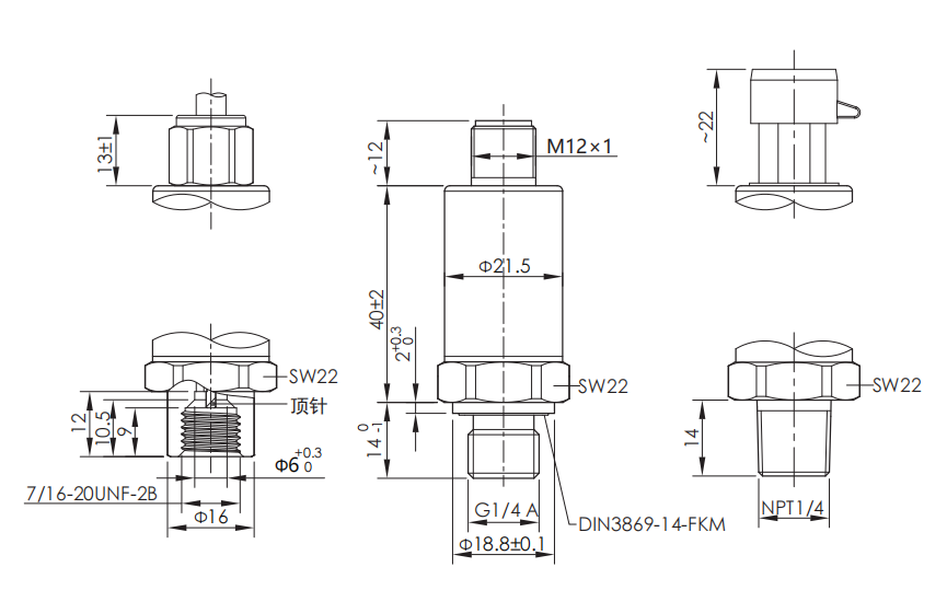 P221���γߴ�.png