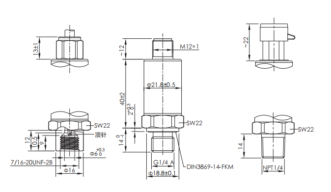 P63����.png